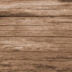 Kdy začít běhat se štěnětem: Naučte svého psa běhat