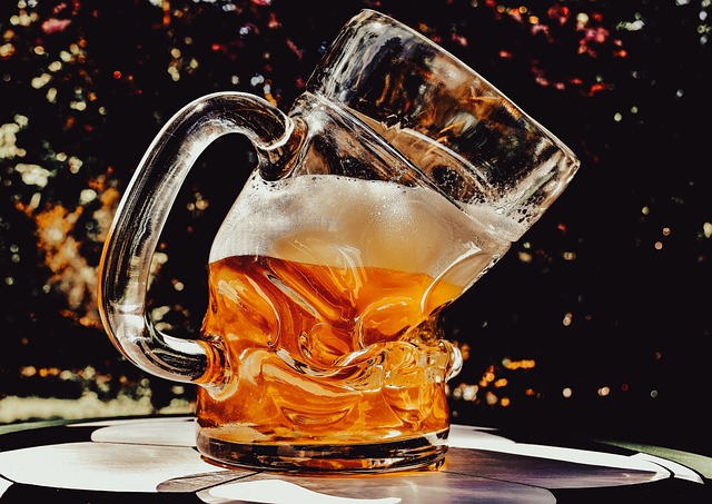 1. Trasy pro běh v okolí historického centra Plzně: Skvělá kombinace památek a přírody