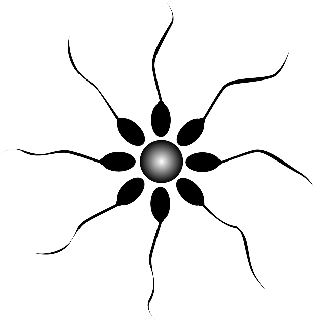 Dlouhotrvající a efektivní impregnace pro vaše boty
