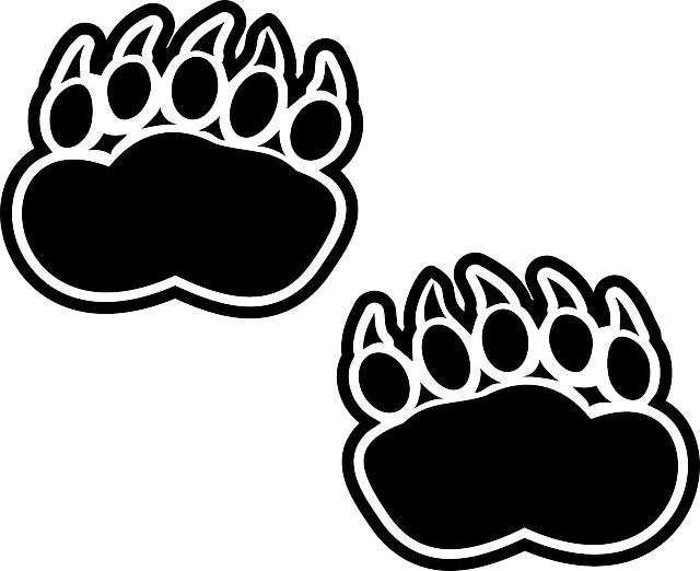 Nejlepší barefoot trail: Obuv pro dobrodružné výpravy