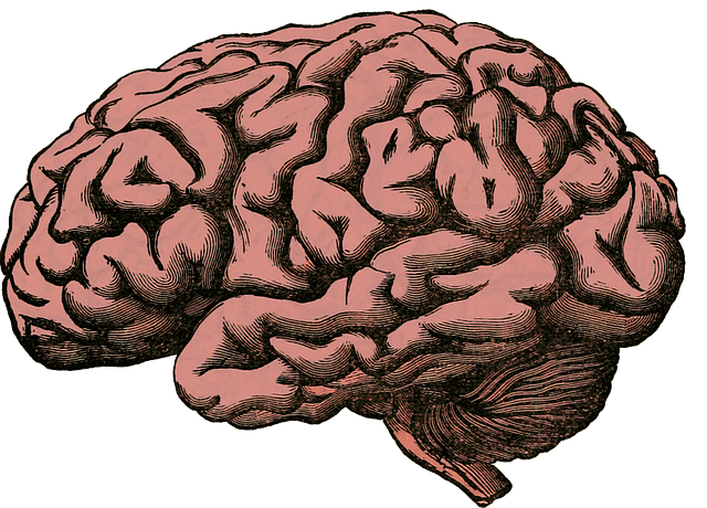 Chůze po špičkách neurologie: Vliv na nervový systém
