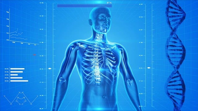 1. Anatomie chůze: Jak funguje pohybový aparát ‍lidského ‌těla