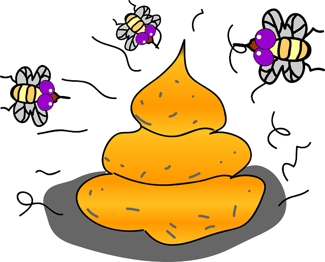 6. Zázračné produkty na odstranění smradu z bot: Mohou skutečně pomoci?