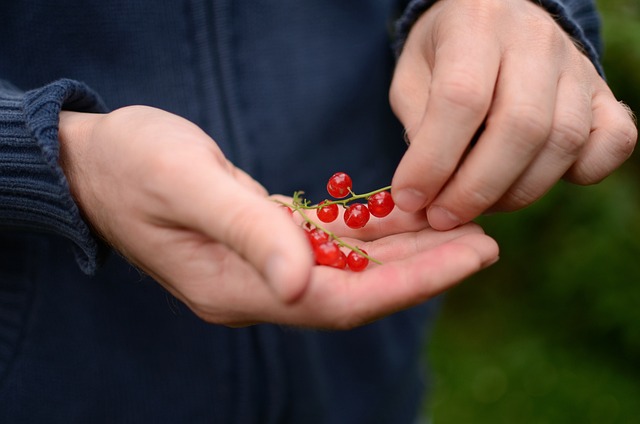 Důležité kroky: jak správně dezinfikovat koženou stélku bot
