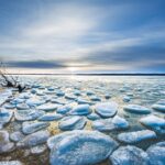 Scholl gelové vložky do bot recenze: Pohodlná obuvní vylepšení