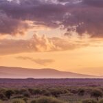 Kilimanjaro boty recenze: Kvalitní obuv pro trek