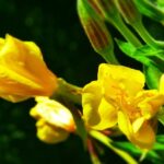 Zná ji jako své boty: Kdo to je a co o něm víme