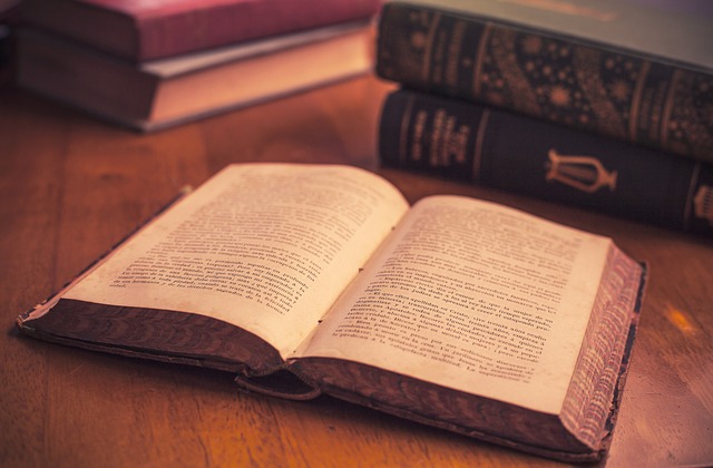 7. Použití tabulek a grafů při výběru velikosti trekových bot: Jak interpretovat údaje správně