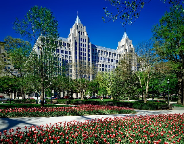 4. Všestrannost a výběr: Jaké možnosti nabízí D Franklin boty pro každou příležitost?