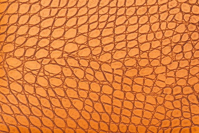 - Kvalitní ‌materiály a ⁢technologie: Klíčové faktory při výběru bot pro florbal