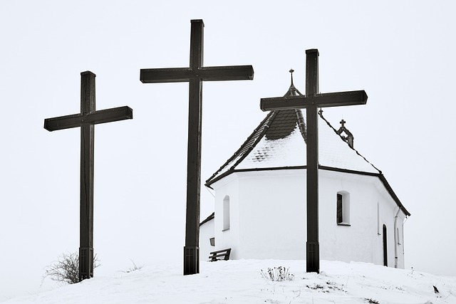 - Proč byste měli zvážit nákup Salming botů?