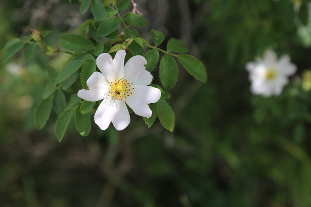 9. Jak si snadno poradit s nečistotami‍ na obuvi
